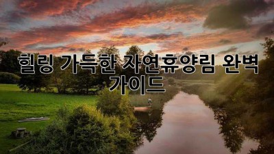힐링 가득한 자연휴양림, 완벽 가이드