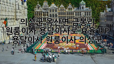 🚚 의성군 옥산면 금봉리 원룸이사, 용달이사로 효율 UP! #용달이사 #원룸이사 #의성군