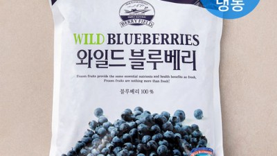 놓치면 후회! 야생블루베리냉동 초특가 득템 후기 🫐✨
